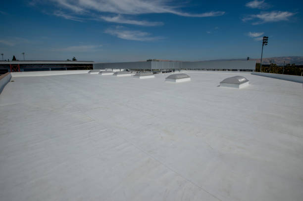Best Steel Roofing  in Petoskey, MI
