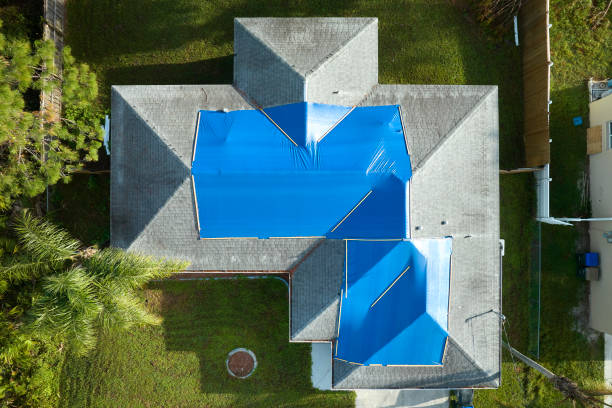 Best Hot Roofs  in Petoskey, MI