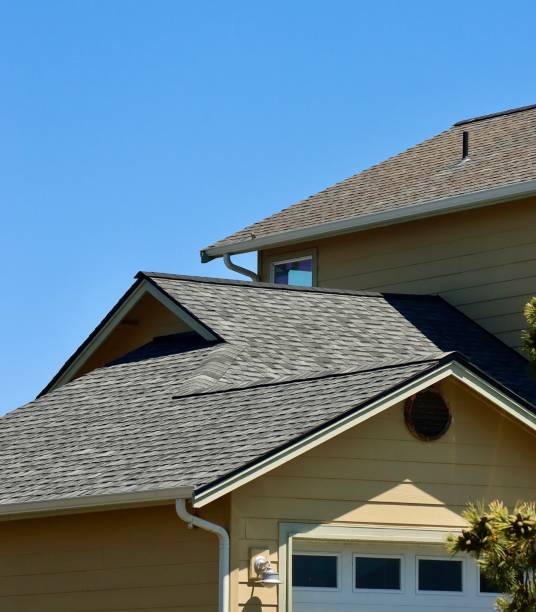 Best Asphalt Shingle Roofing  in Petoskey, MI